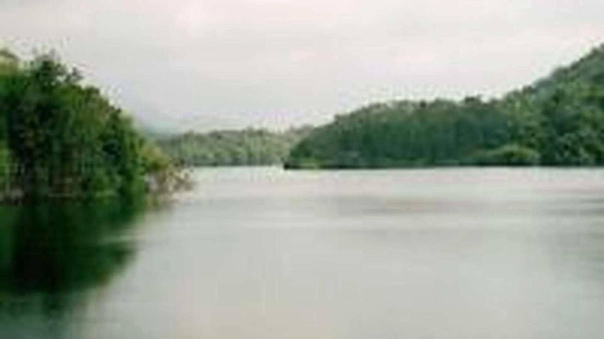 Hotel Park Residency Kuttiyadi Kuttyadi